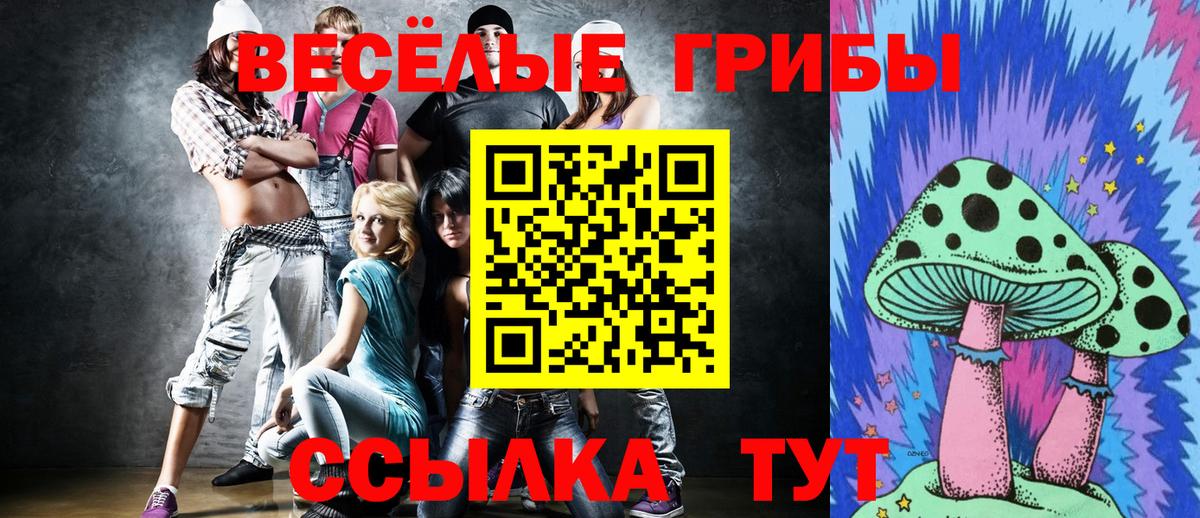 Галлюциногенные грибы GOLDEN TEACHER Камышин